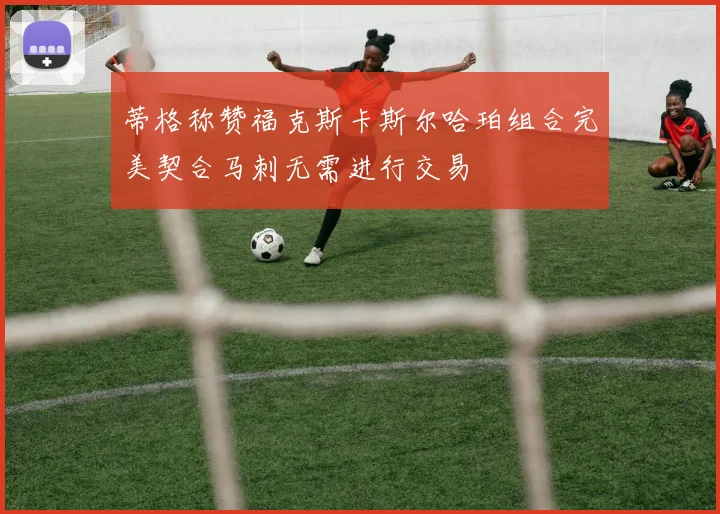 蒂格称赞福克斯卡斯尔哈珀组合完美契合马刺无需进行交易